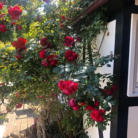 Villa Fachwerkliebe Mia Olsberg