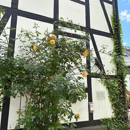 Villa Fachwerkliebe Mia Olsberg