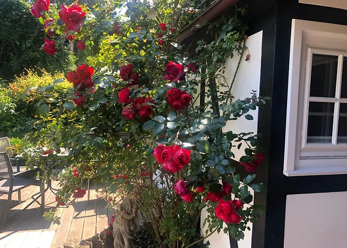 Villa Fachwerkliebe Mia Olsberg