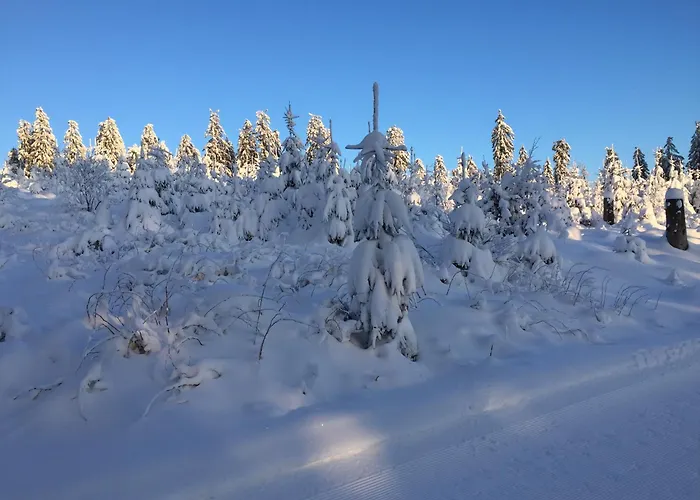 Villa Fachwerkliebe Mia